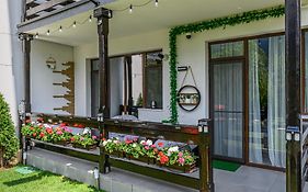 Ama Garden Apartment Busteni